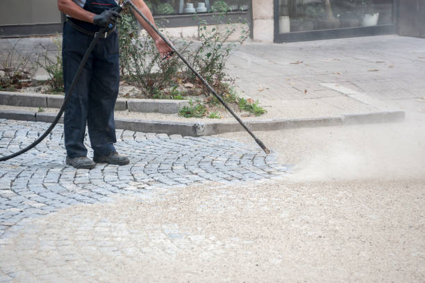 Best Pool Deck Cleaning  in Cedar Hills, OR