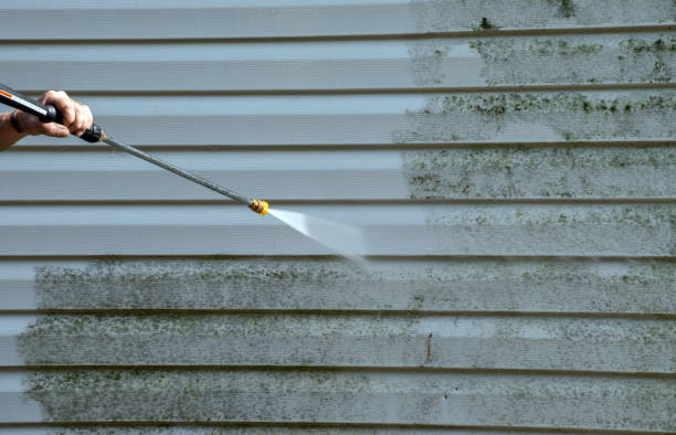 Boat and Dock Cleaning in Cedar Hills, OR
